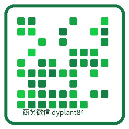 海角绿影